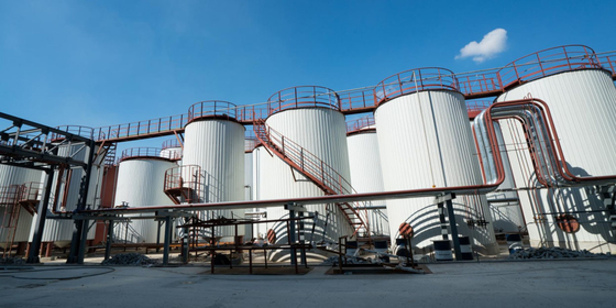 Applicazioni di grasso a bassa temperatura Olio di base sintetico gruppo V Naftalene alchilato